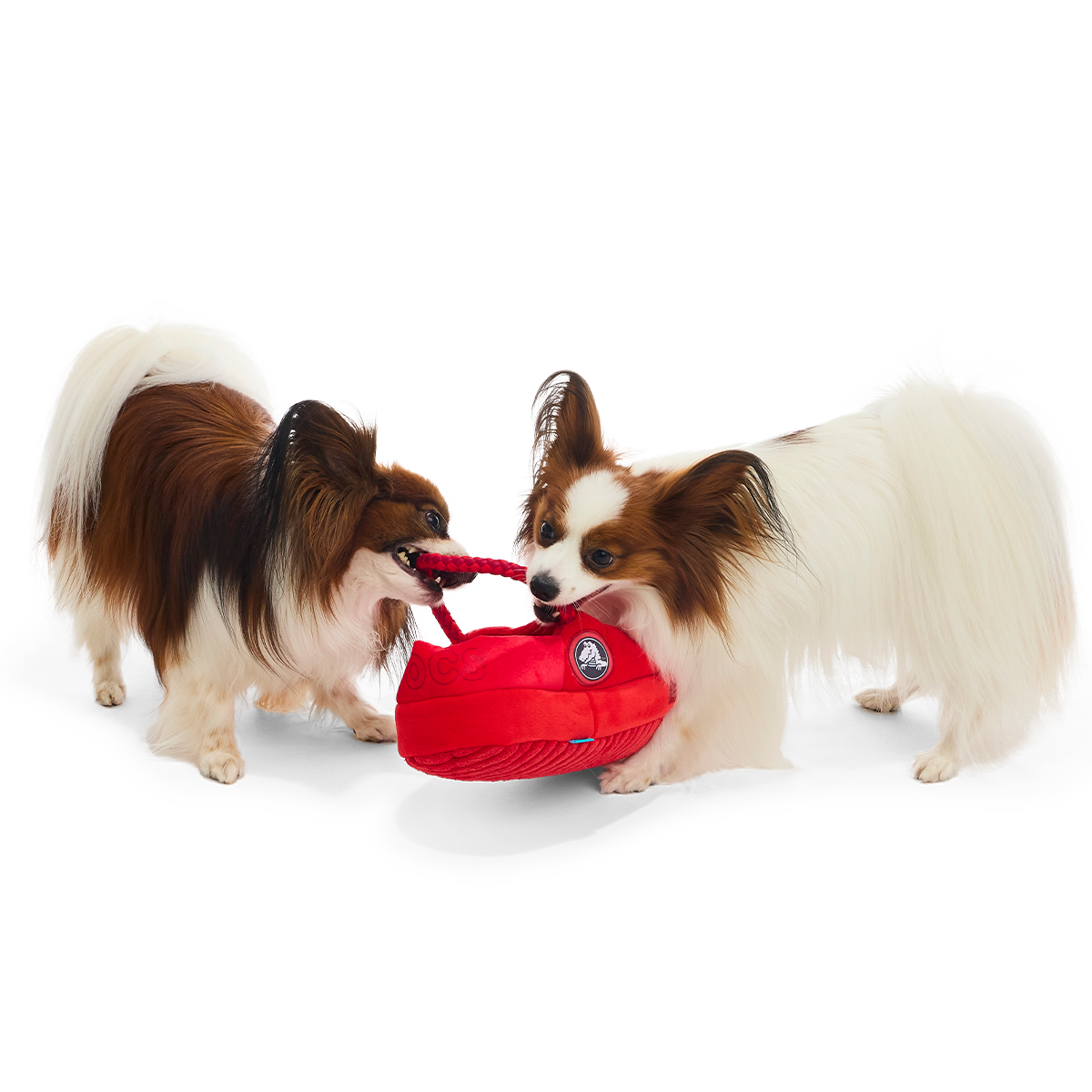 Classic K9 Clog Plush Extra-Large + Tug + Enrichment Dog Toy