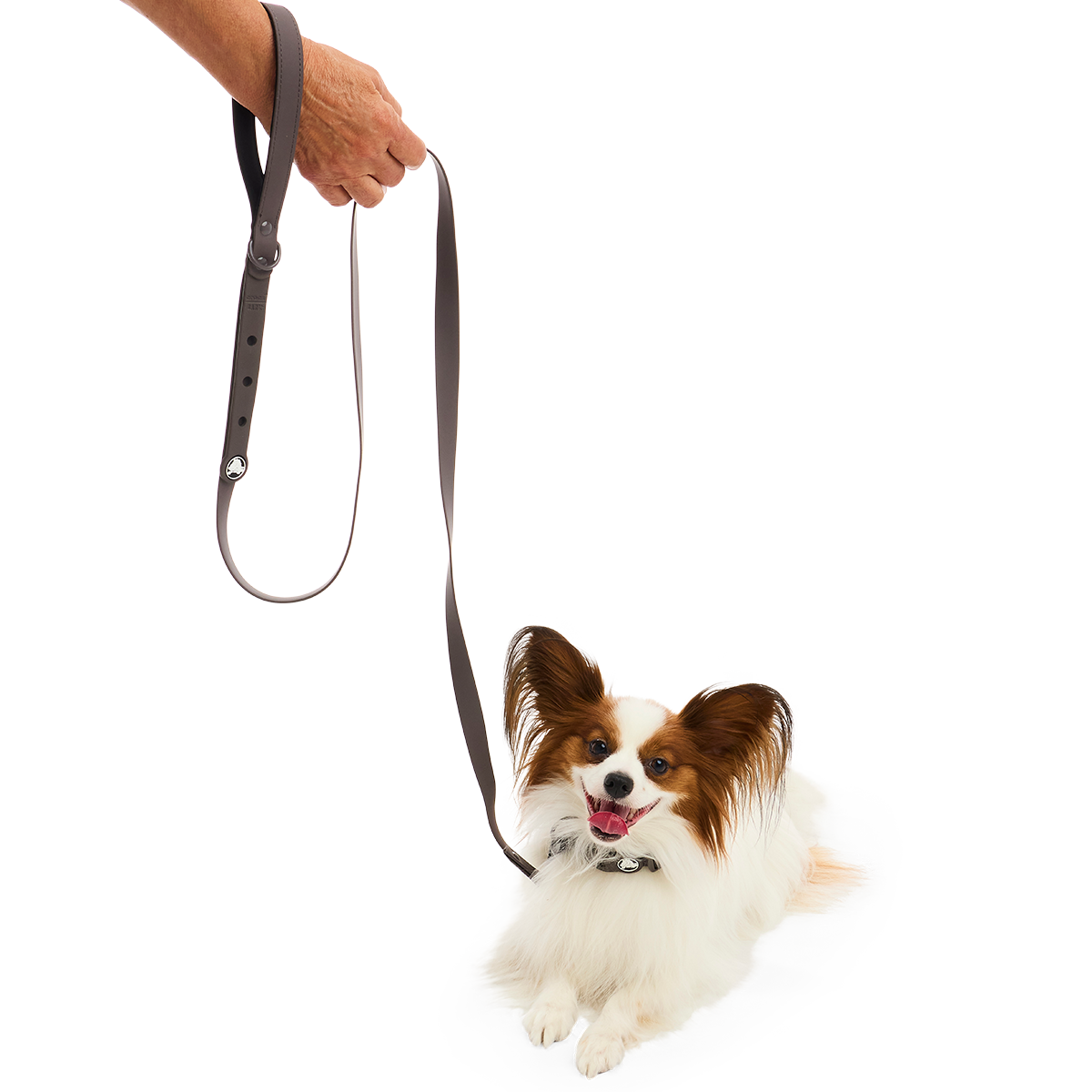 Crocs™ for Dogs Leash#Color_Espresso