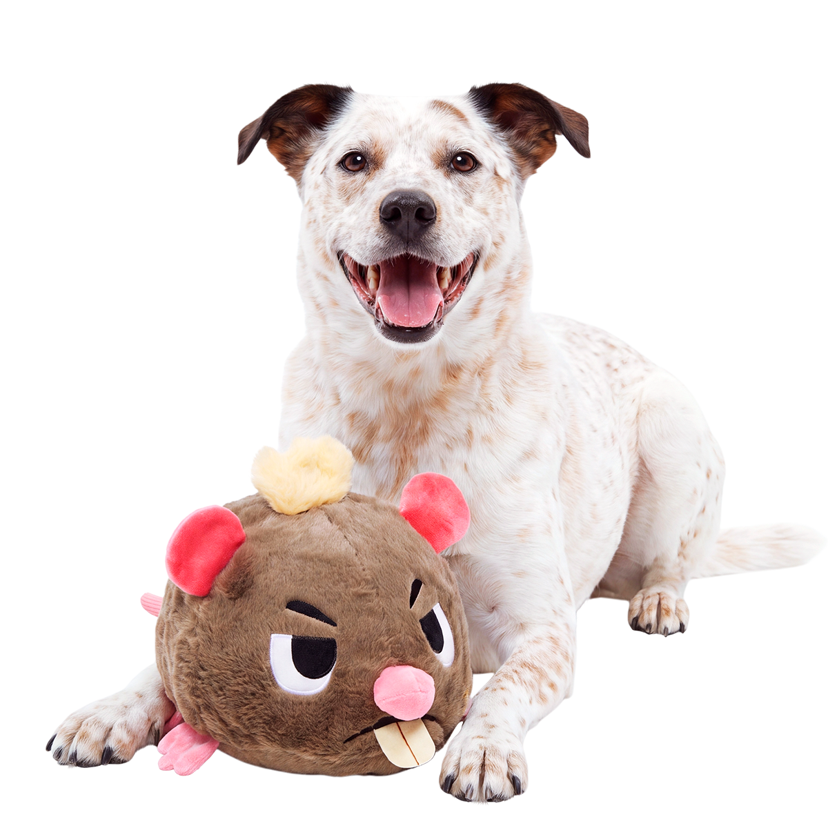 Sneaky Scabbers™ Plush Extra-Large + 3-in-1 Dog Toy