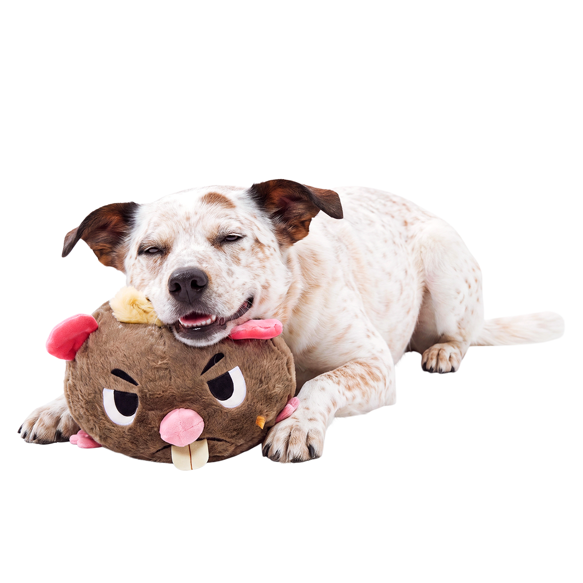 Sneaky Scabbers™ Plush Extra-Large + 3-in-1 Dog Toy