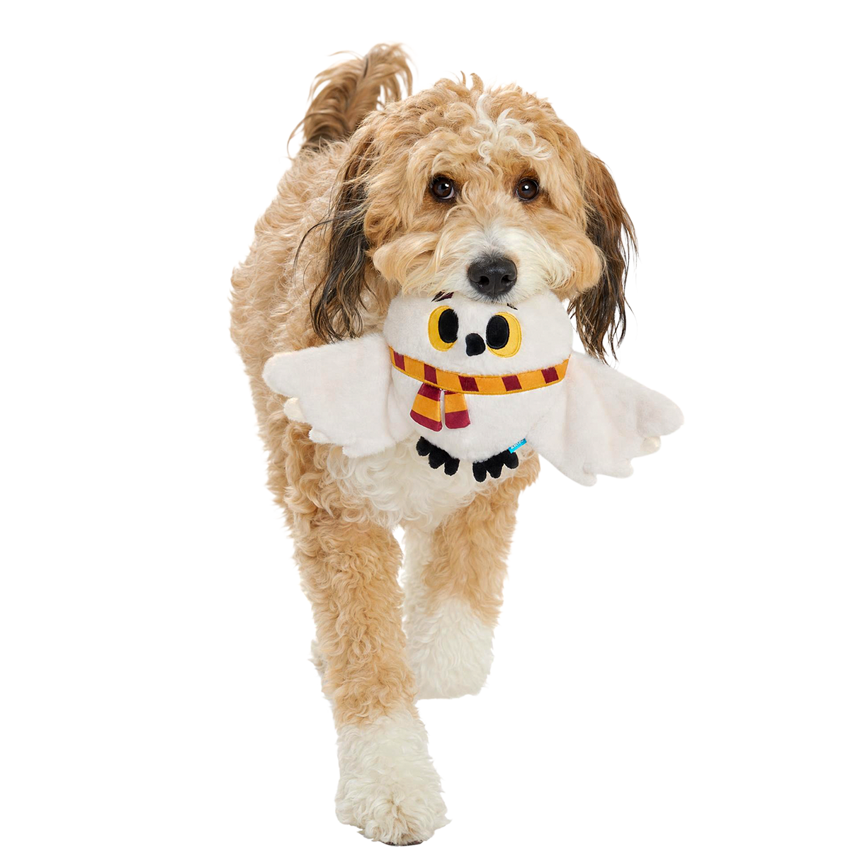 Hedwig™ Plush Extra-Large + Tug Dog Toy