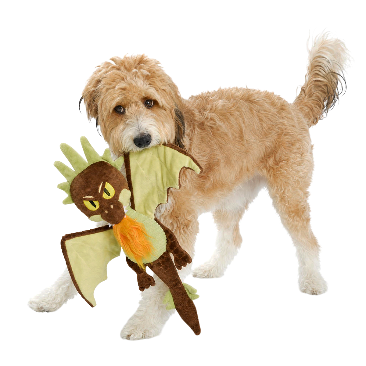 Hungarian Horntail Plush Extra-Large + Tug Dog Toy