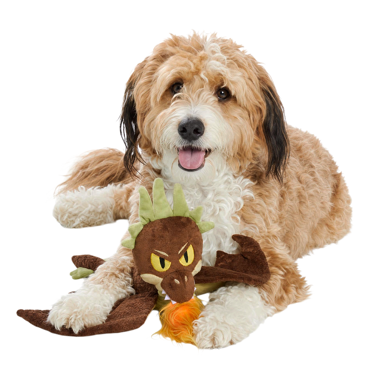 Hungarian Horntail Plush Extra-Large + Tug Dog Toy