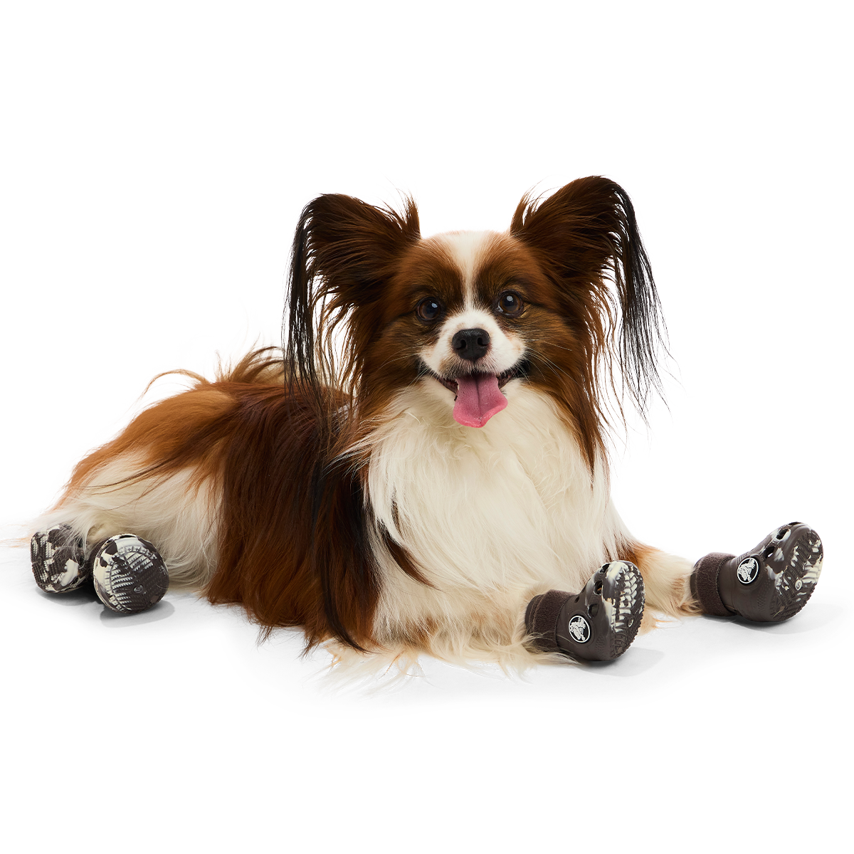 Crocs™ Shoes For Dogs#Color_Espresso