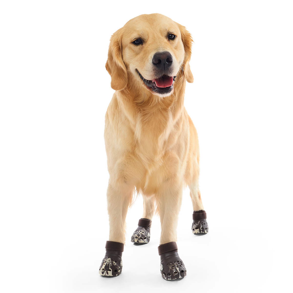 Crocs™ Shoes For Dogs#Color_Espresso