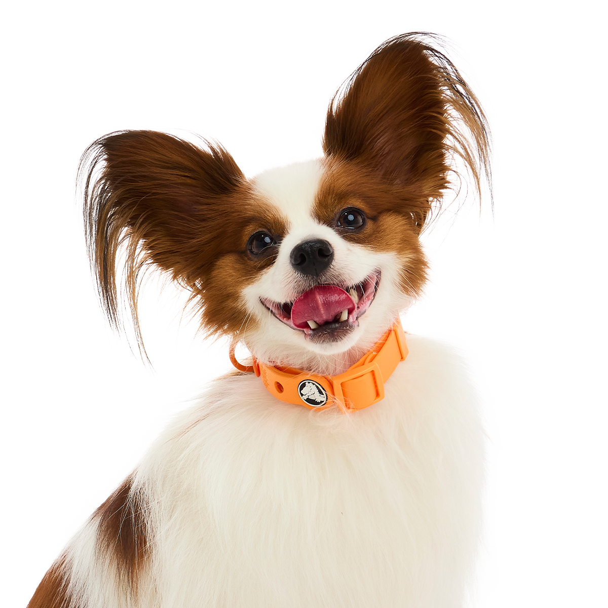 Crocs™ for Dogs Collar#Color_Orange-Zing
