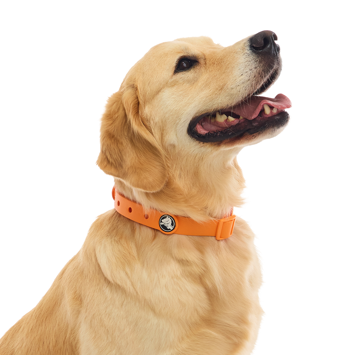 Crocs™ for Dogs Collar#Color_Orange-Zing