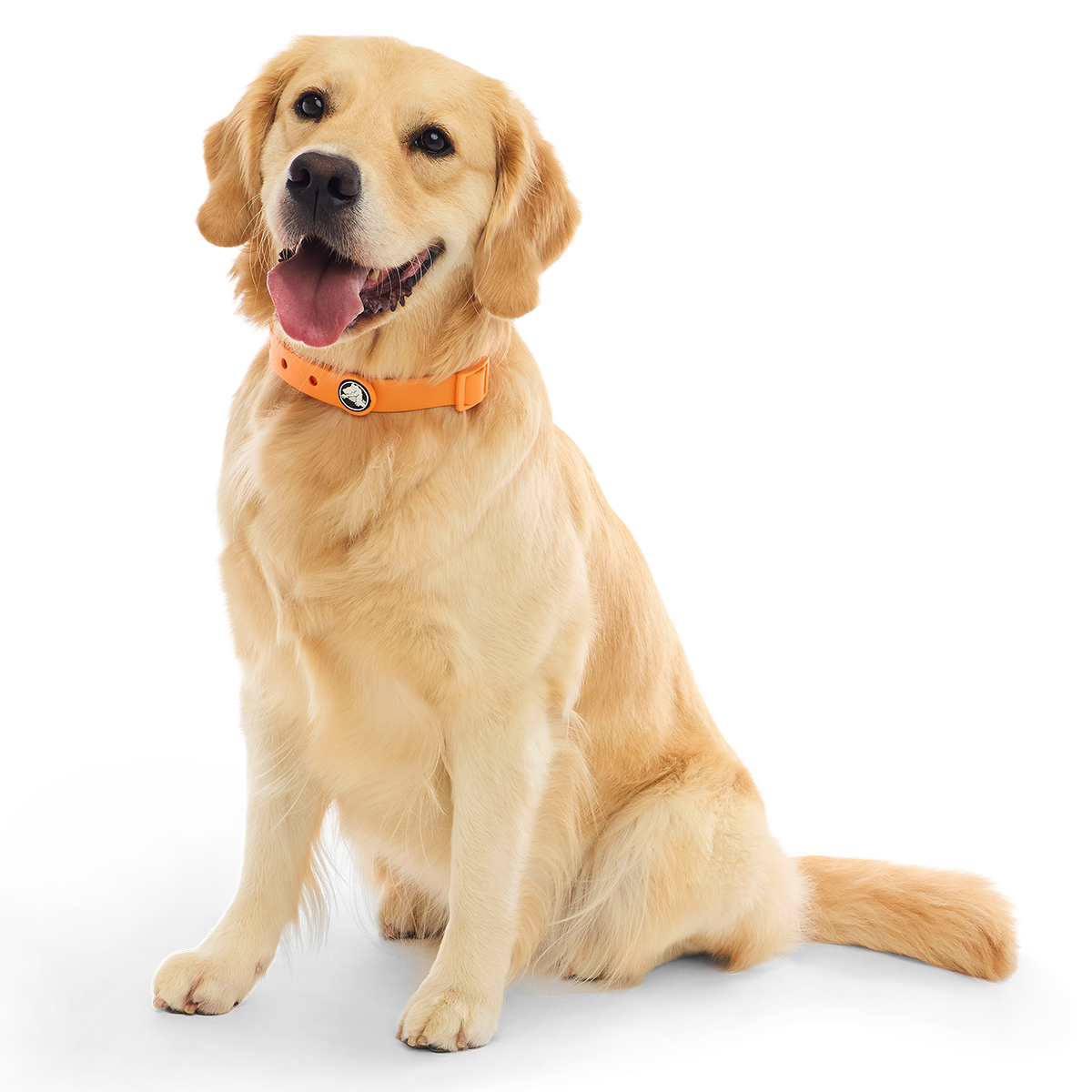 Crocs™ for Dogs Collar#Color_Orange-Zing