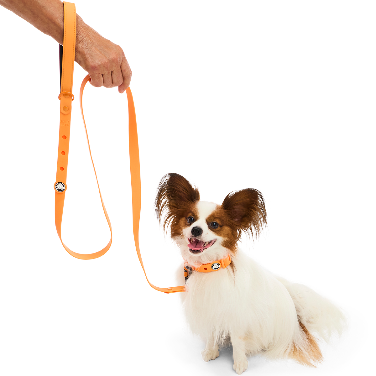 Crocs™ for Dogs Leash#Color_Orange-Zing
