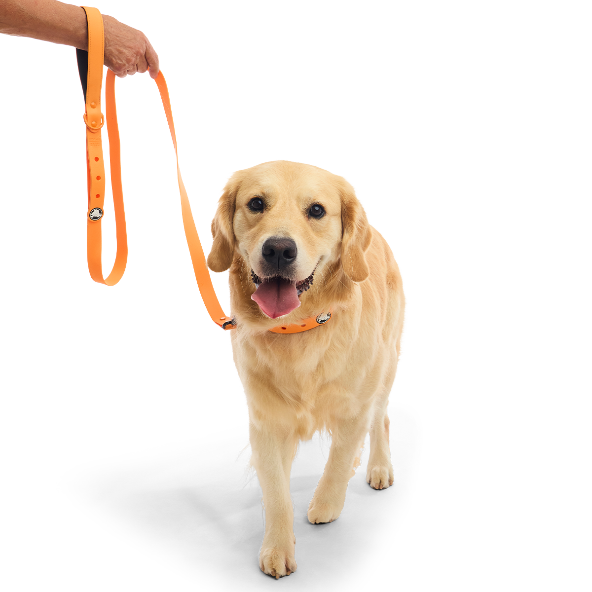 Crocs™ for Dogs Leash#Color_Orange-Zing