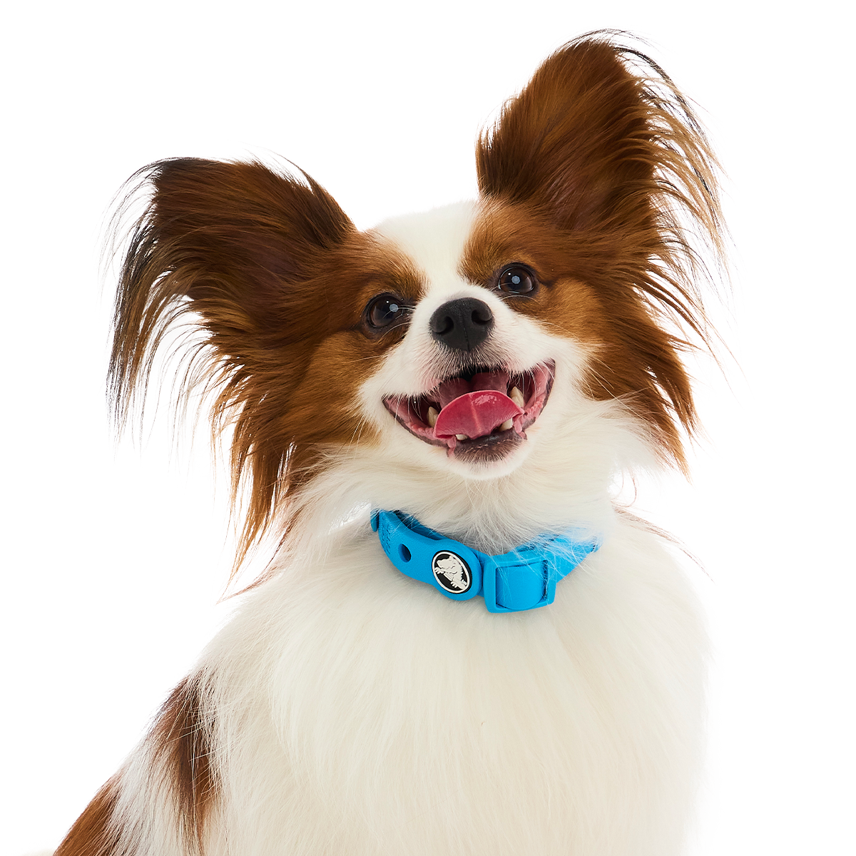 Crocs™ for Dogs Collar#Color_Marina