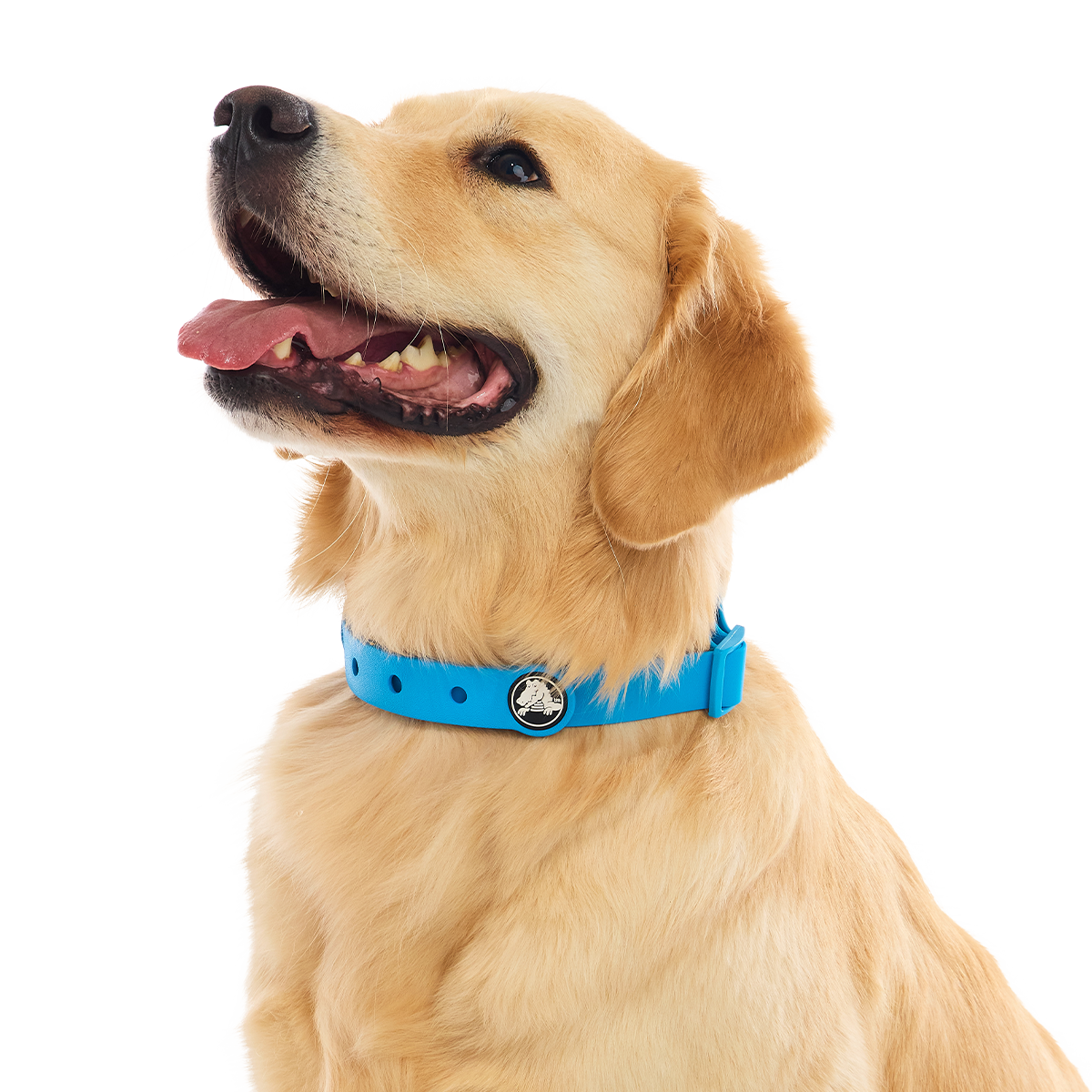 Crocs™ for Dogs Collar#Color_Marina