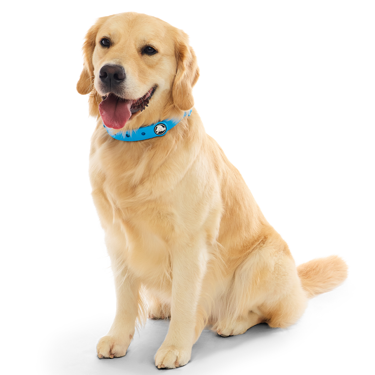 Crocs™ for Dogs Collar#Color_Marina