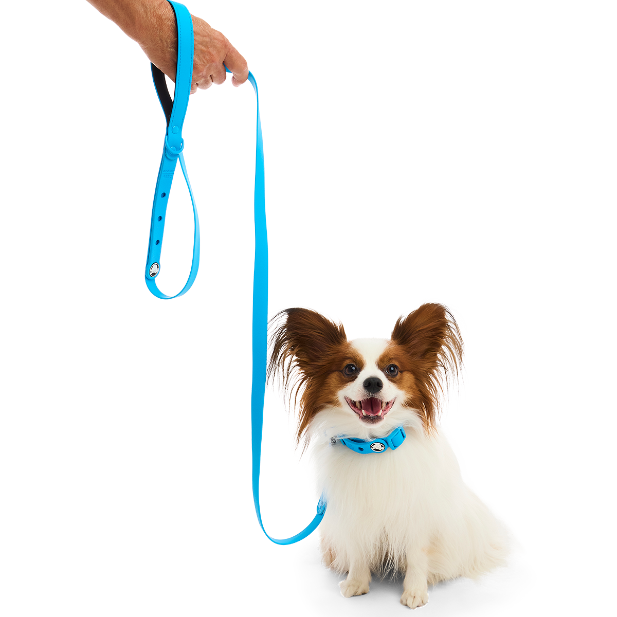 Crocs™ for Dogs Leash#Color_Marina