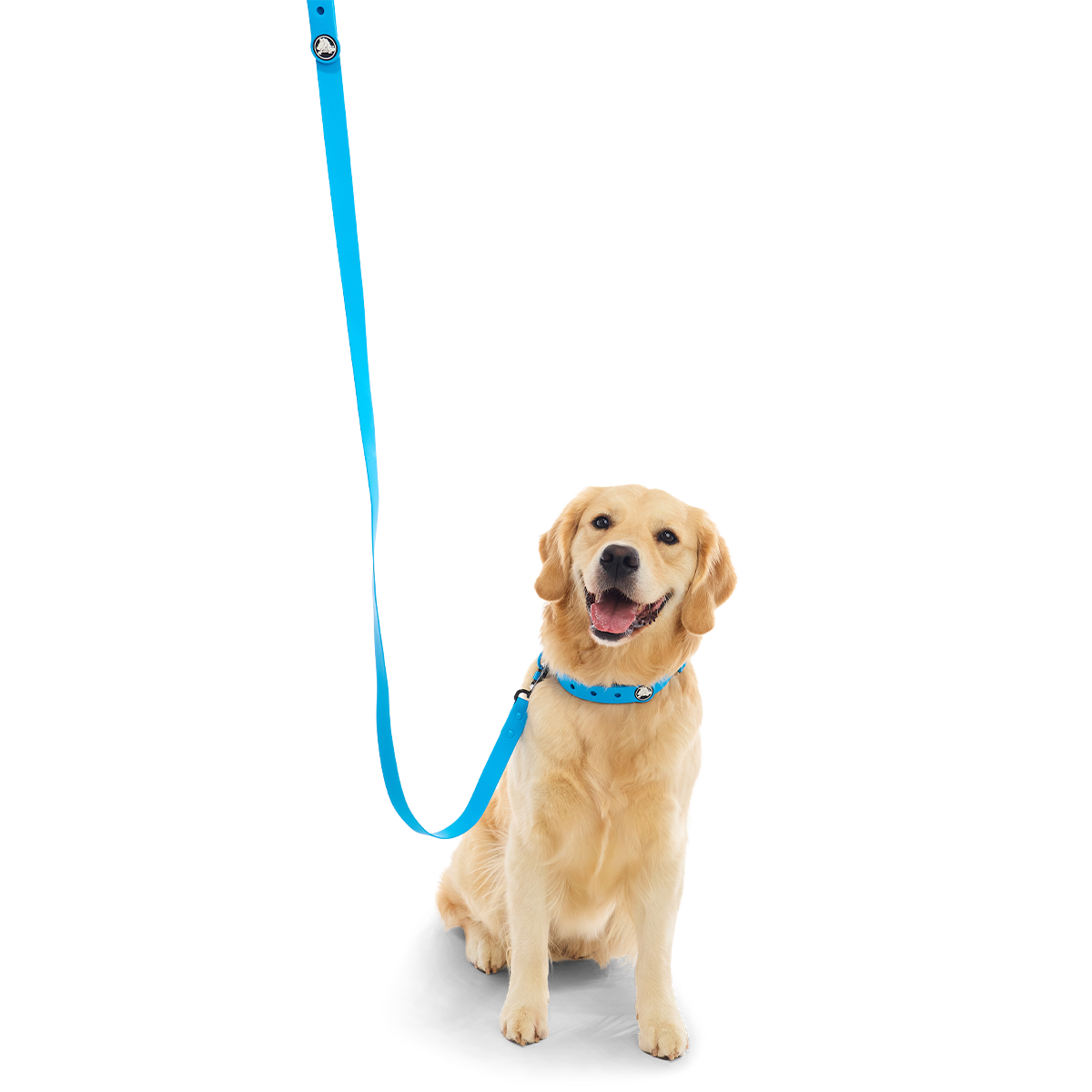 Crocs™ for Dogs Leash#Color_Marina