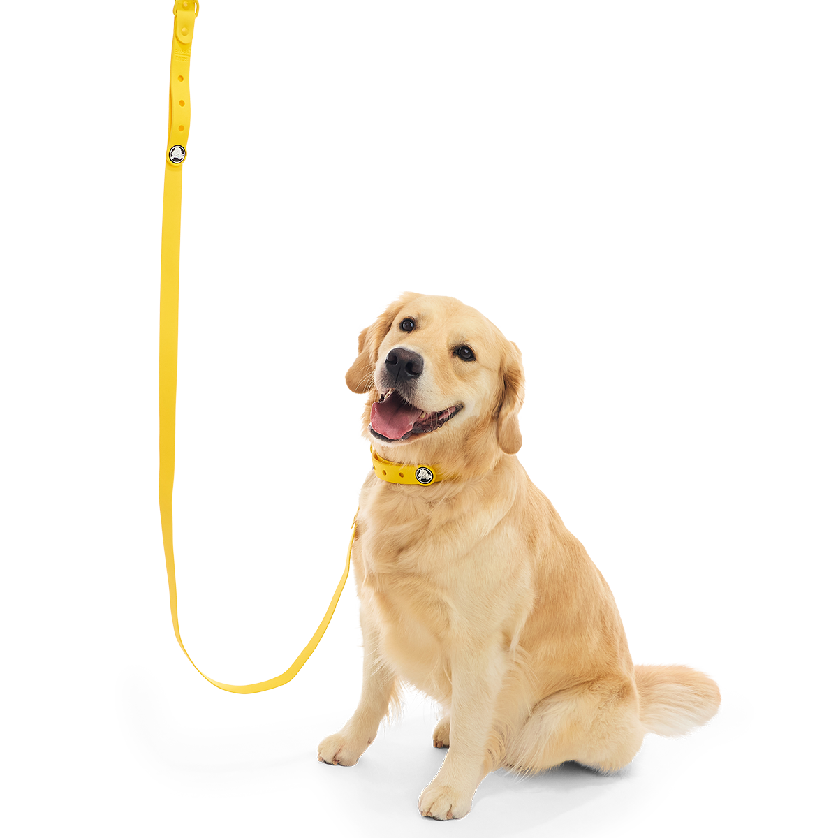 Crocs™ for Dogs Leash#Color_Sunflower