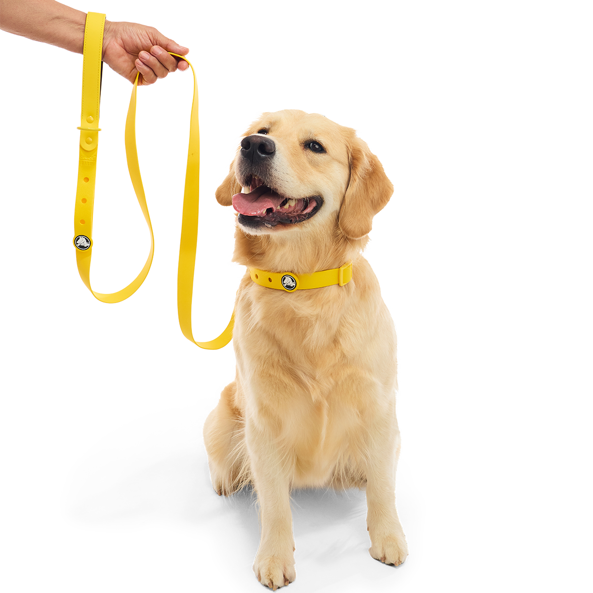 Crocs™ for Dogs Leash#Color_Sunflower