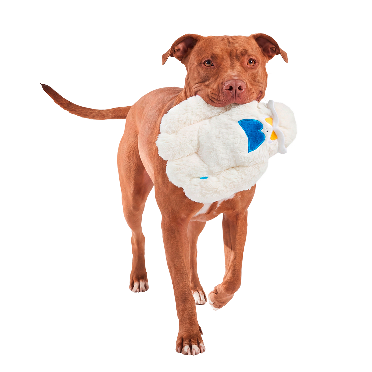 Snow Ghost™ Plush Tug Dog Toy