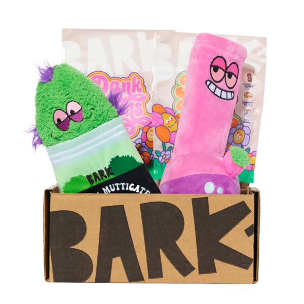 BarkBox Trial - Bud Hounds First Box