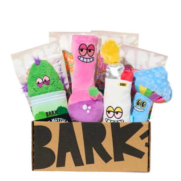 BarkBox 12 Month Subscription - Bud Hounds Double Deluxe First Box