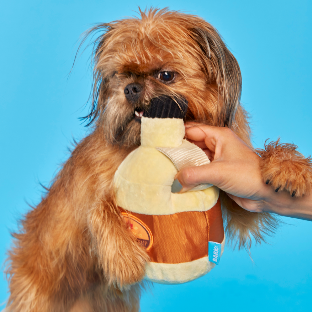 Sticky Paws Maple Syrup