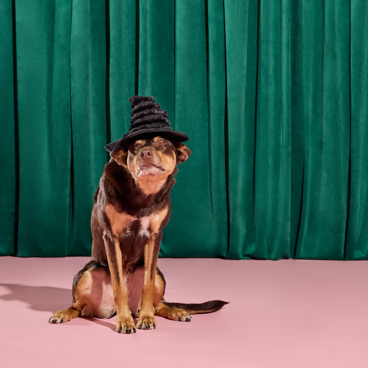 Elphaba's Ozdust Hat