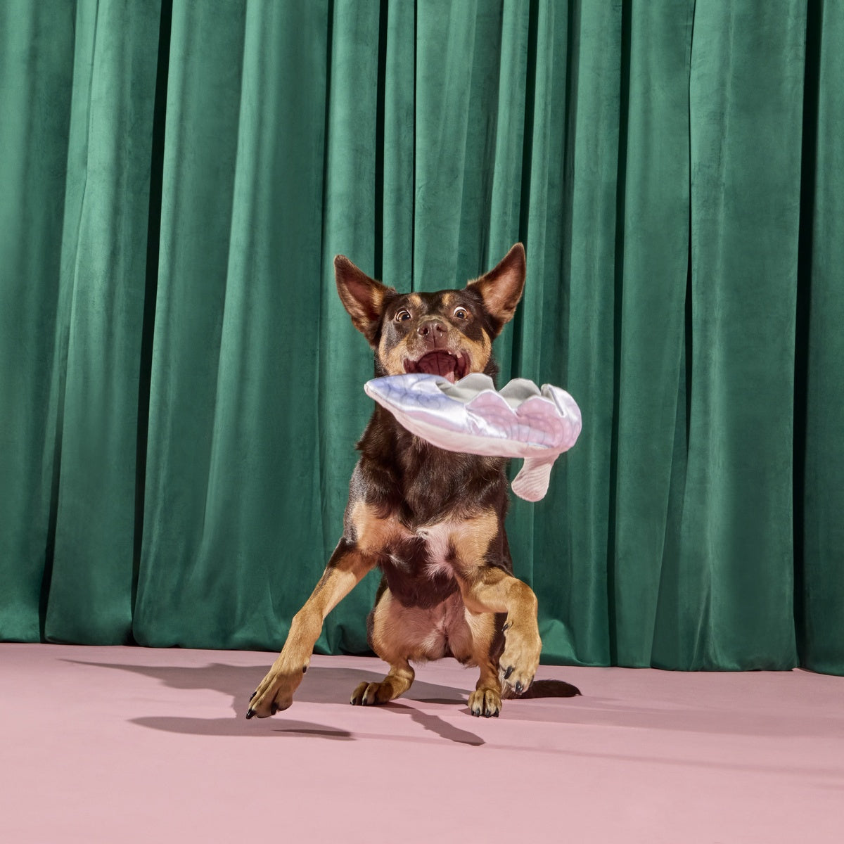 Nessa's Squeakin' Slipper