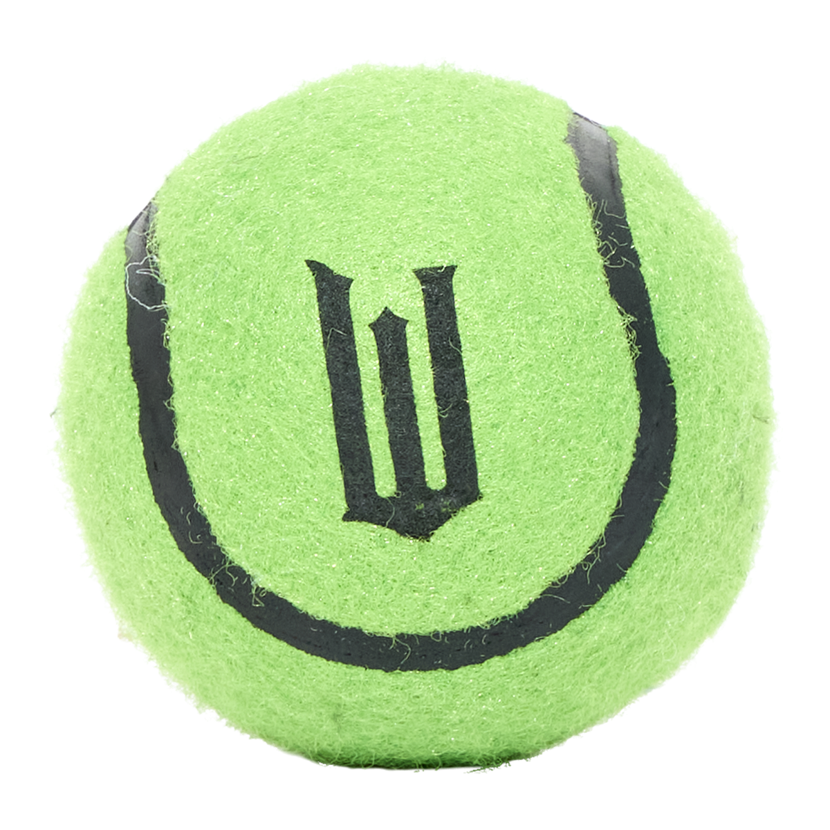 Elphaba's Ozdust Hat