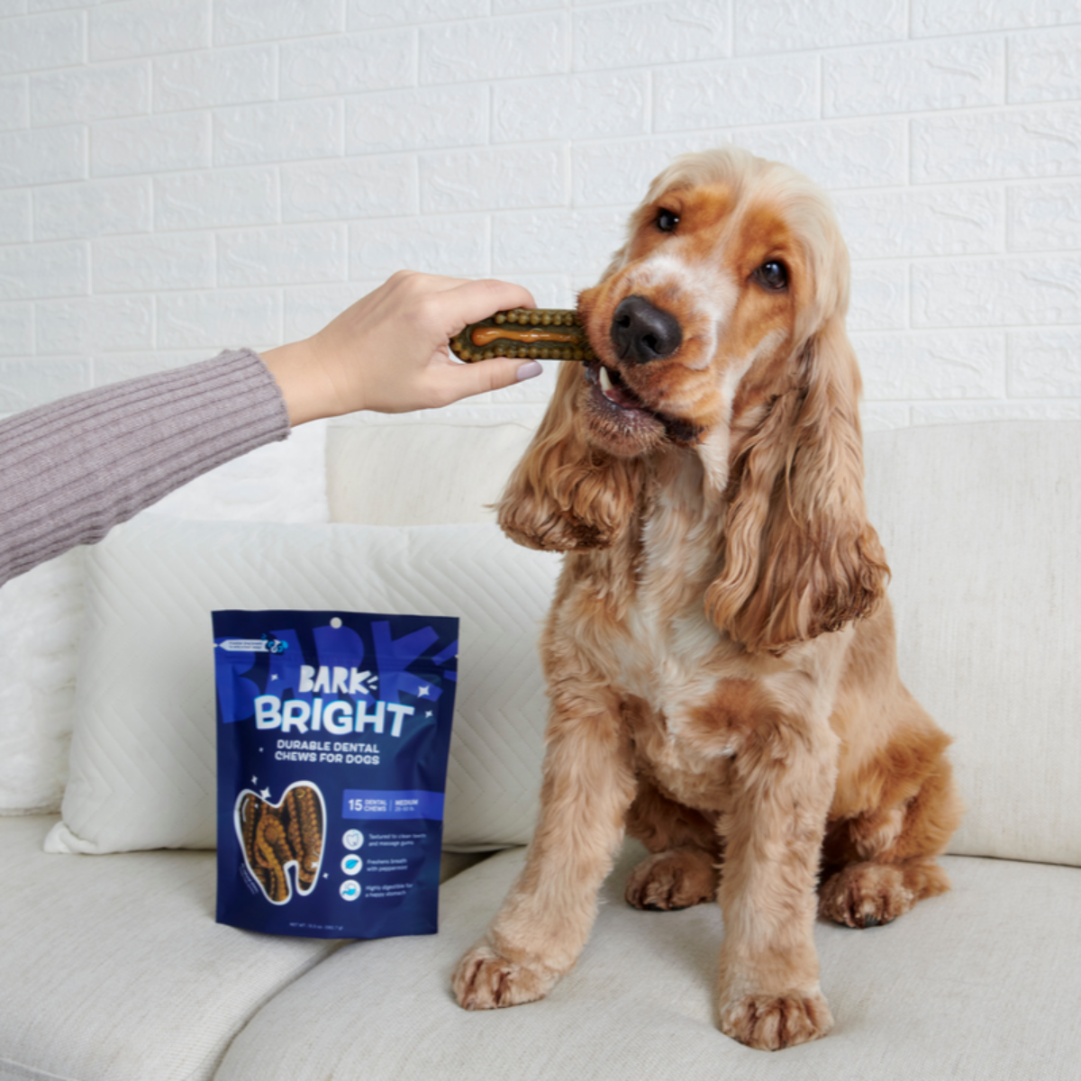 Bright Allergy-Friendly Dental Kit