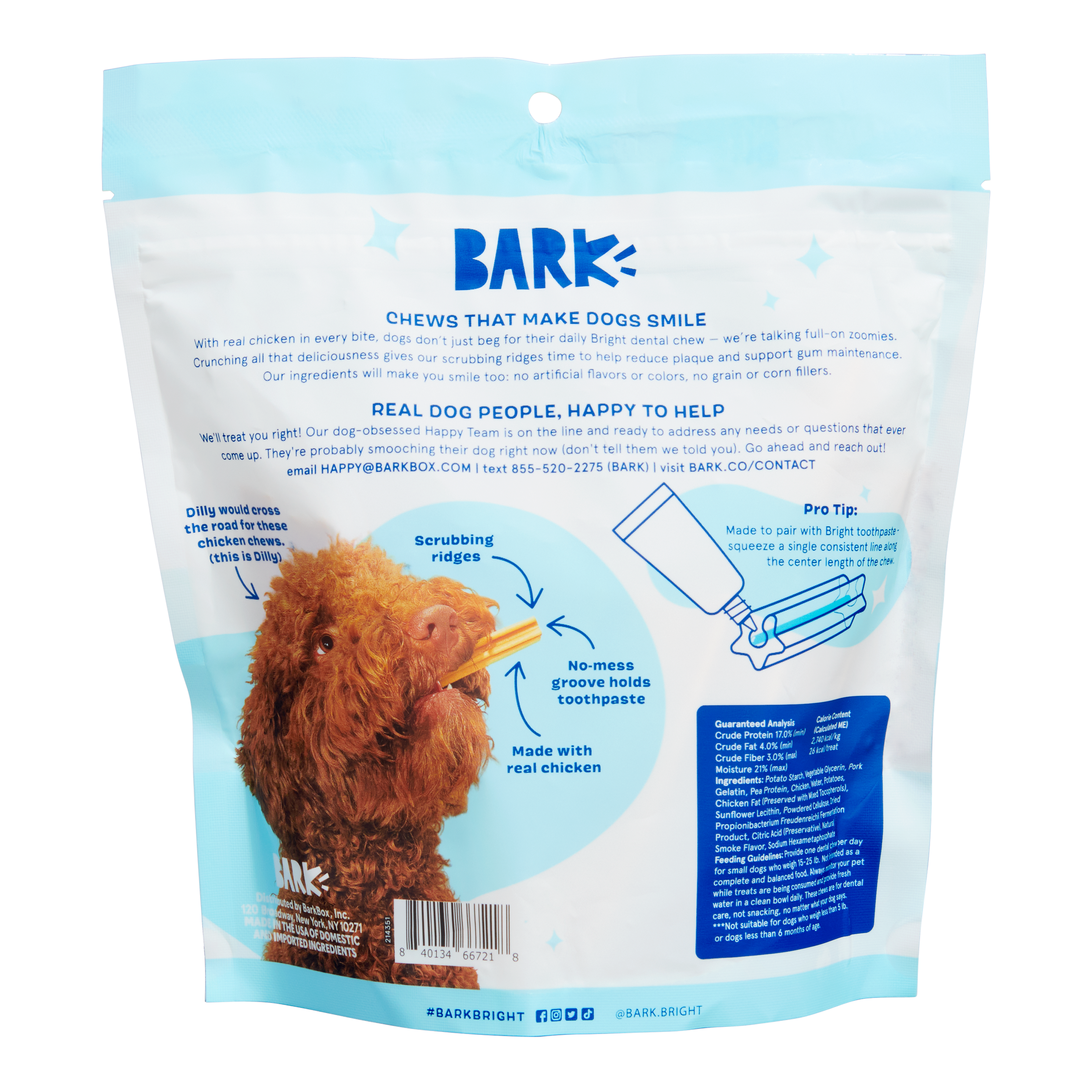 Bright Original Dental Kit