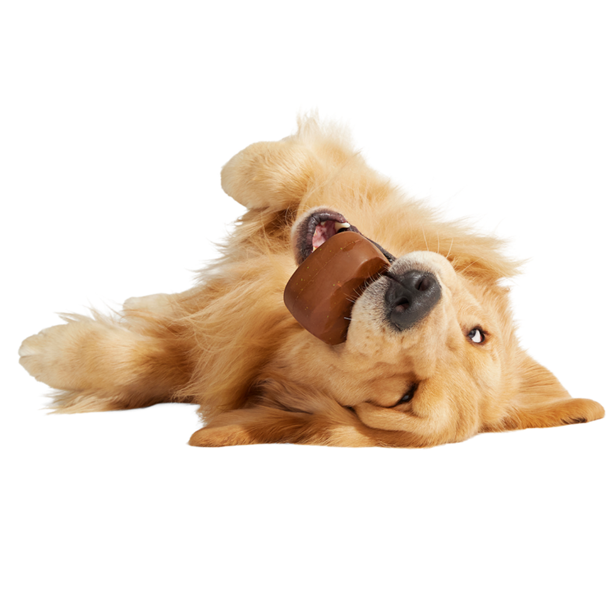 Baaaked Brownie Super Chewer Durable Fetch Dog Toy