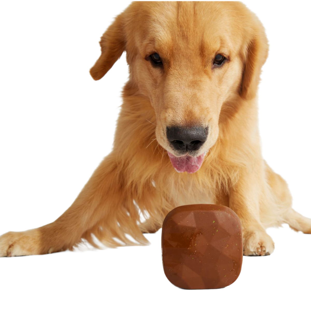 Baaaked Brownie Super Chewer Durable Fetch Dog Toy