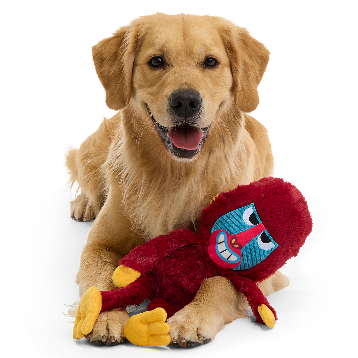 Babu Baboon Plush Extra-Large + Tug Dog Toy – BARK