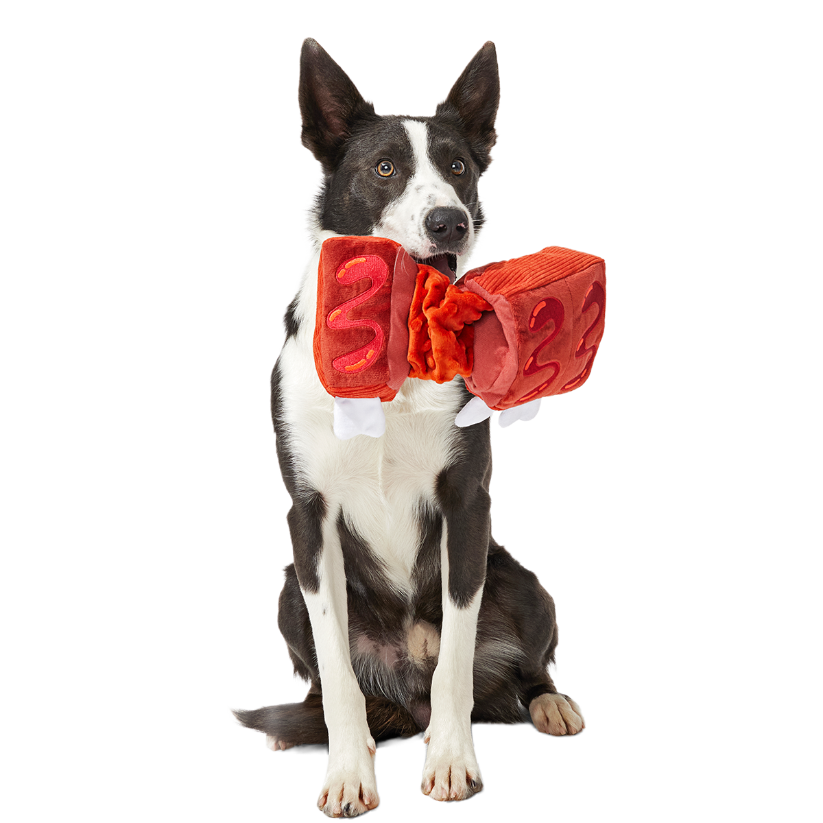 Baby Bark Ribs Plush Tug Dog Toy