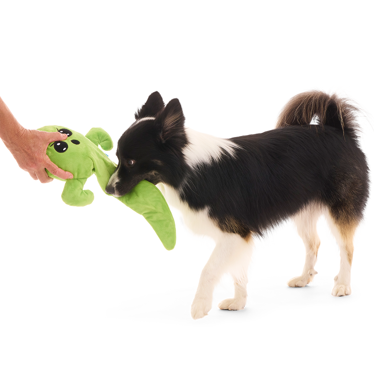 Balltergeist Plush Extra-Large + Tug Dog Toy