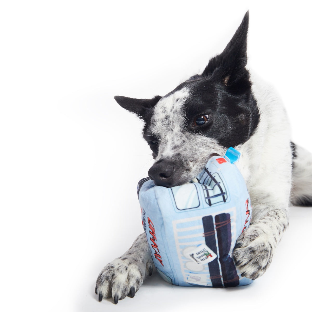 Oh-Kay Christmutts Van