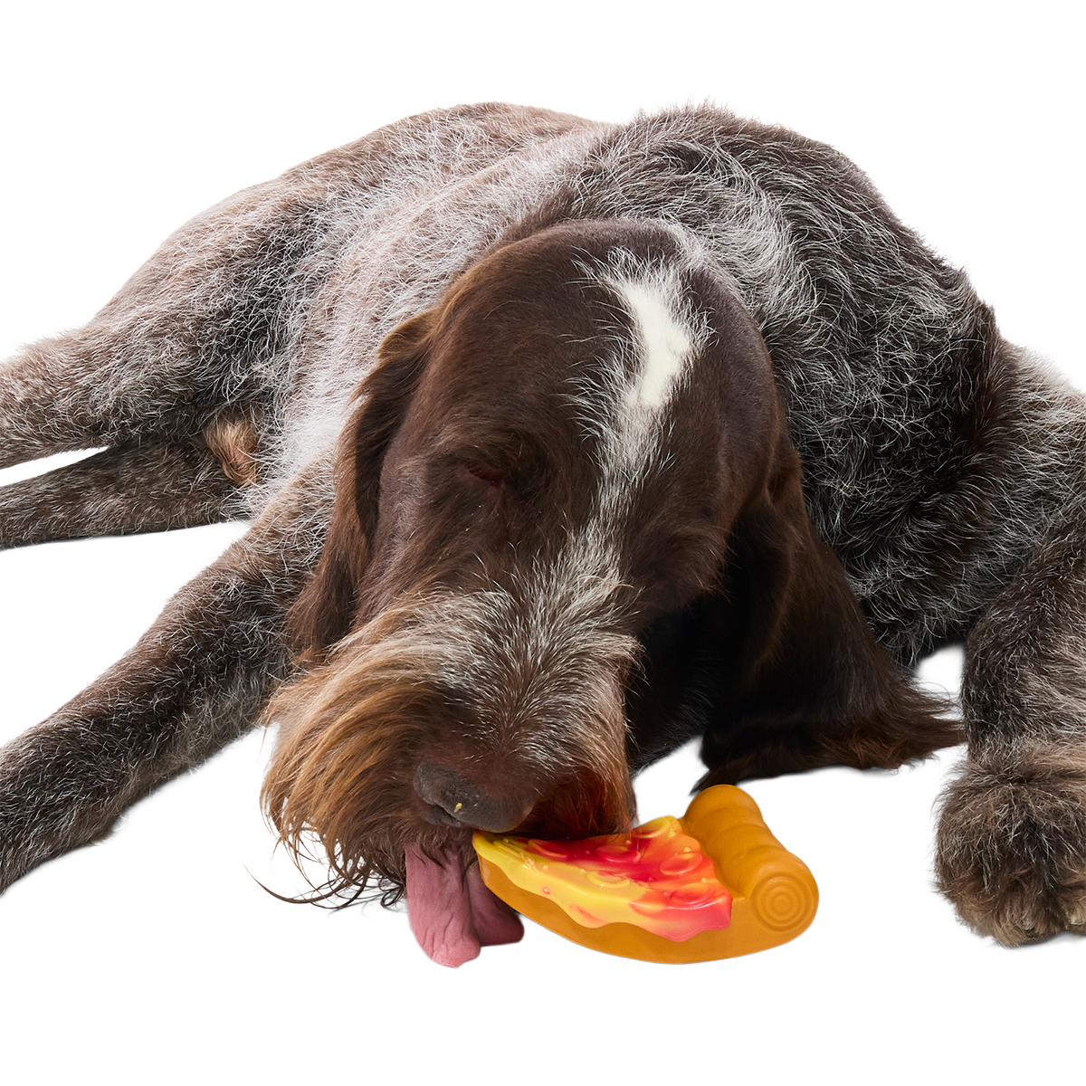Flavortown™ Super Chewer Bundle