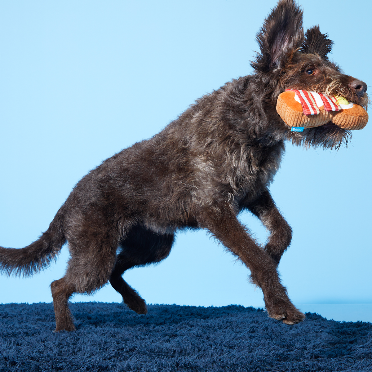 Barkfest In Bed Plush Dog Toy