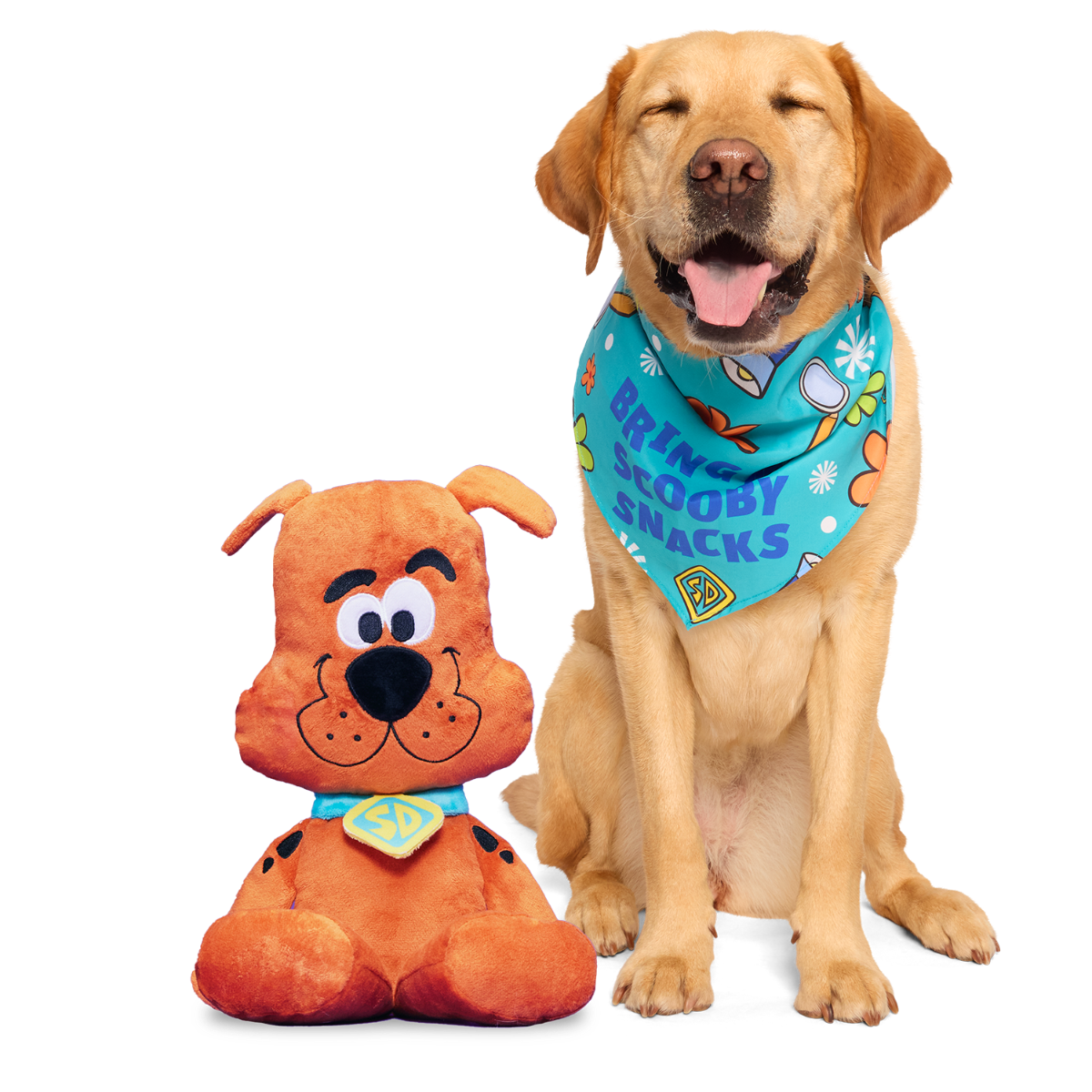 Scooby-Doo™ Bundle Plush Extra-Large Dog Toy