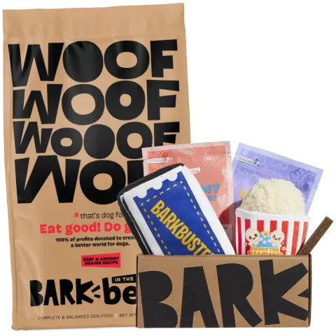 Box of dog treats and snacks labeled 'BARK.'