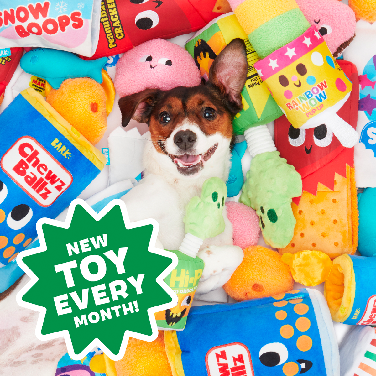 Junk Food Club, Plush Monthly Dog Toys