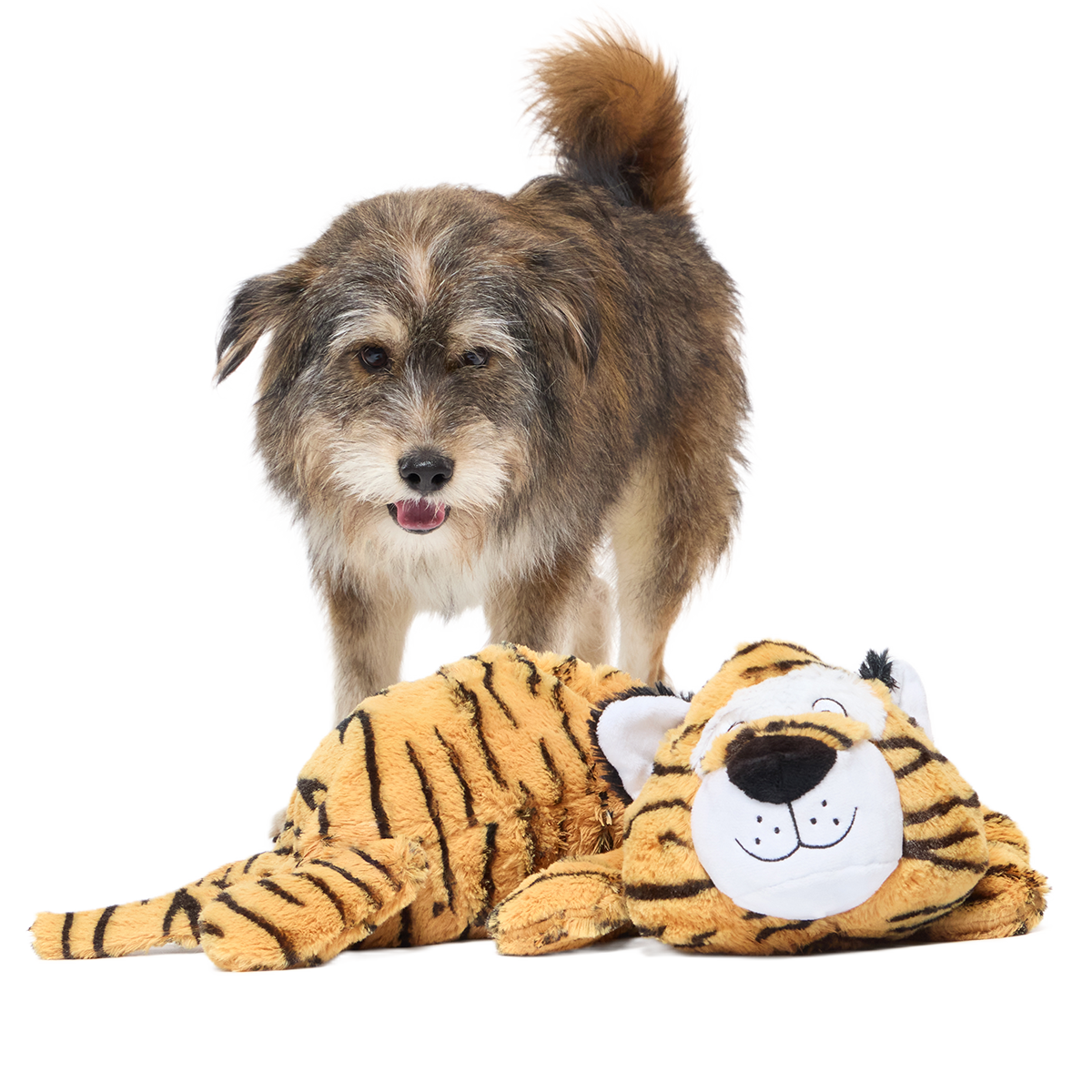 Benji the Bouncing Tiger Plush Extra-Large + Tug Dog Toy – BARK Benji the Bouncing Tiger Plush Extra-Large + Tug Dog Toy – BARK