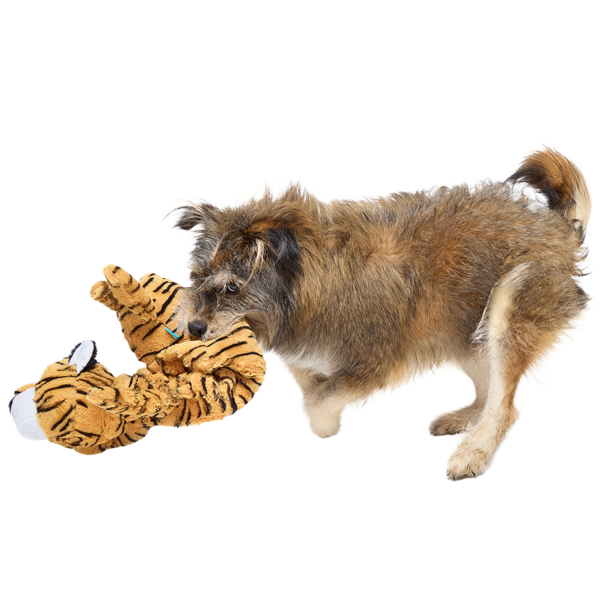Benji the Bouncing Tiger Plush Extra-Large + Tug Dog Toy