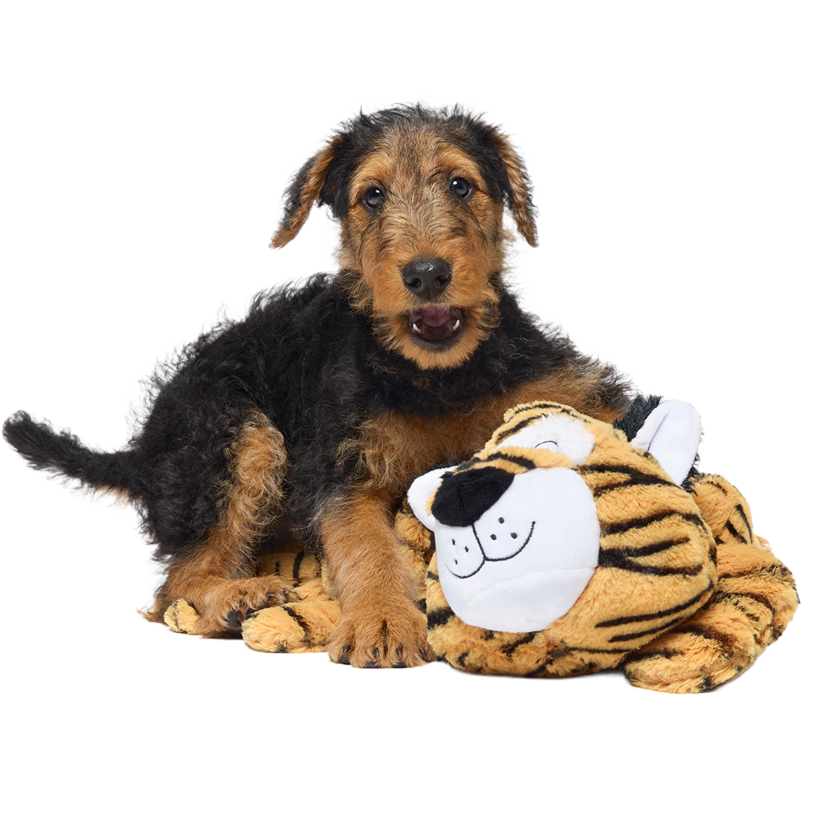 Benji the Bouncing Tiger Plush Extra-Large + Tug Dog Toy
