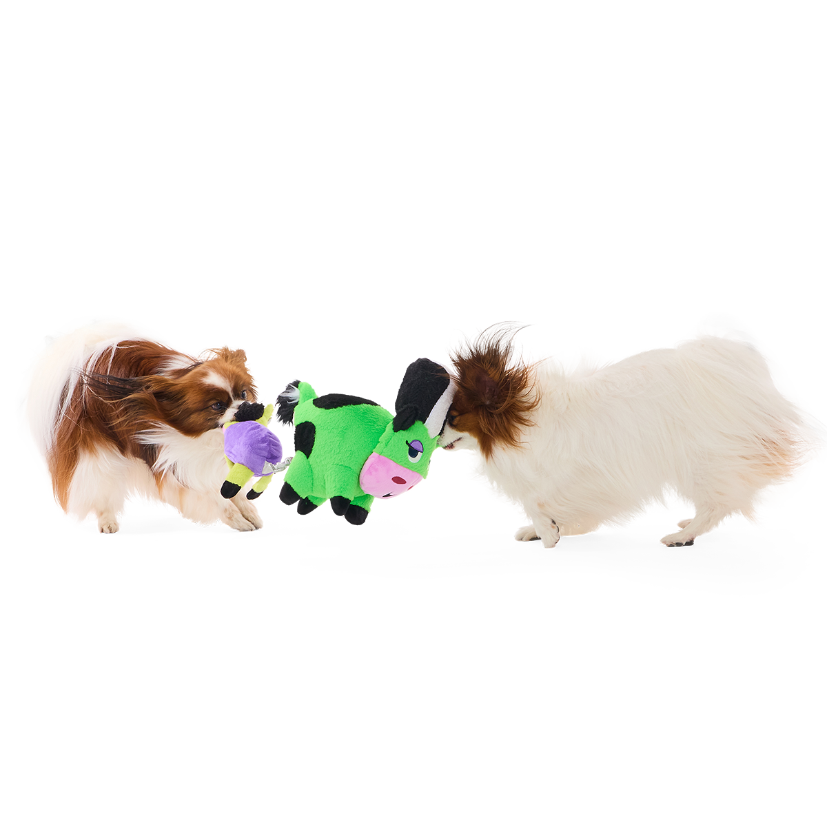Bertha of Frankenstein Plush Extra-Large + Tug + Enrichment Dog Toy