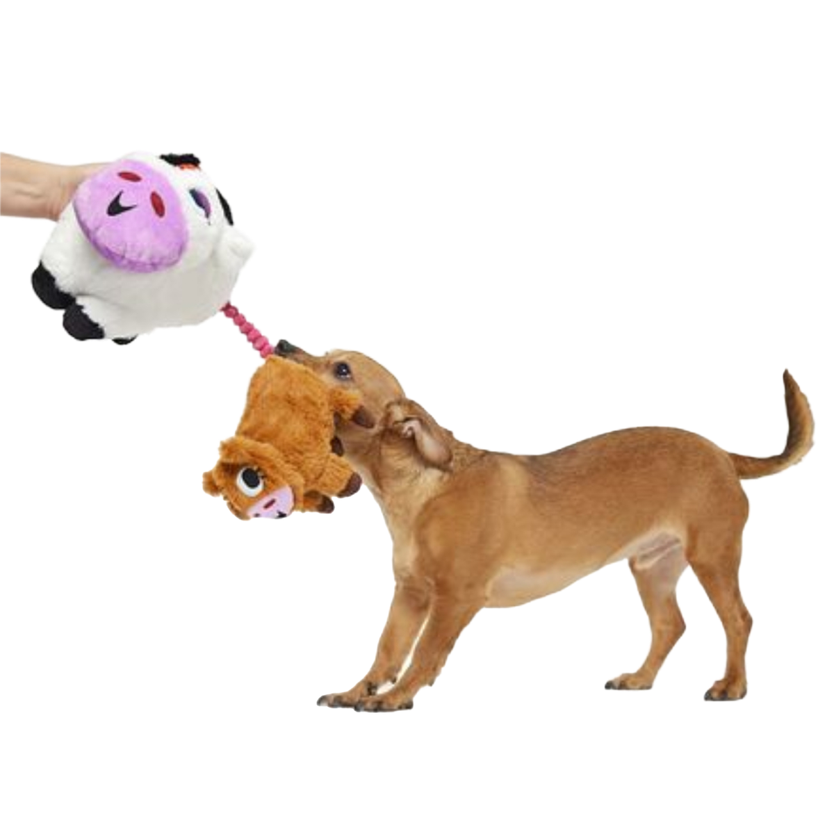 Bertha the Cow Plush Extra-Large Tug Dog Toy