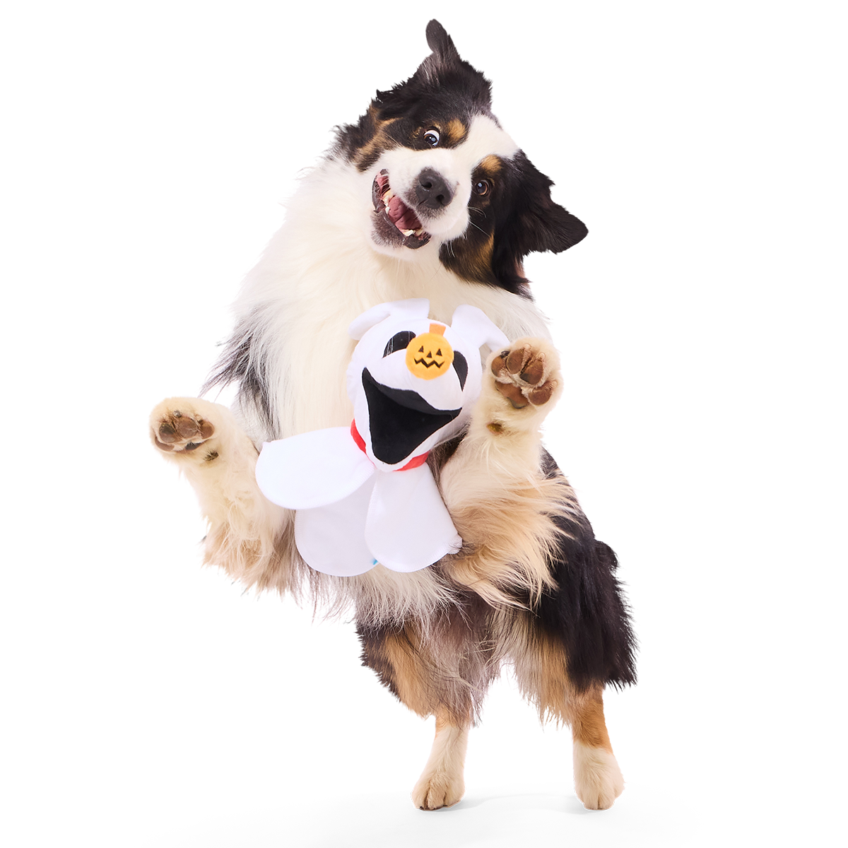 Best Furiend Zero Plush Extra-Large + Enrichment Dog Toy