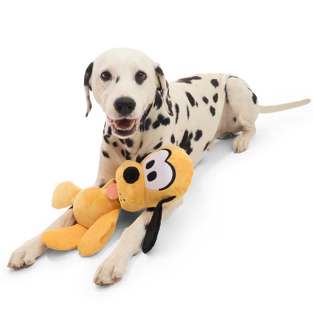 Big Dog Pluto Plush Extra-Large + Tug Dog Toy