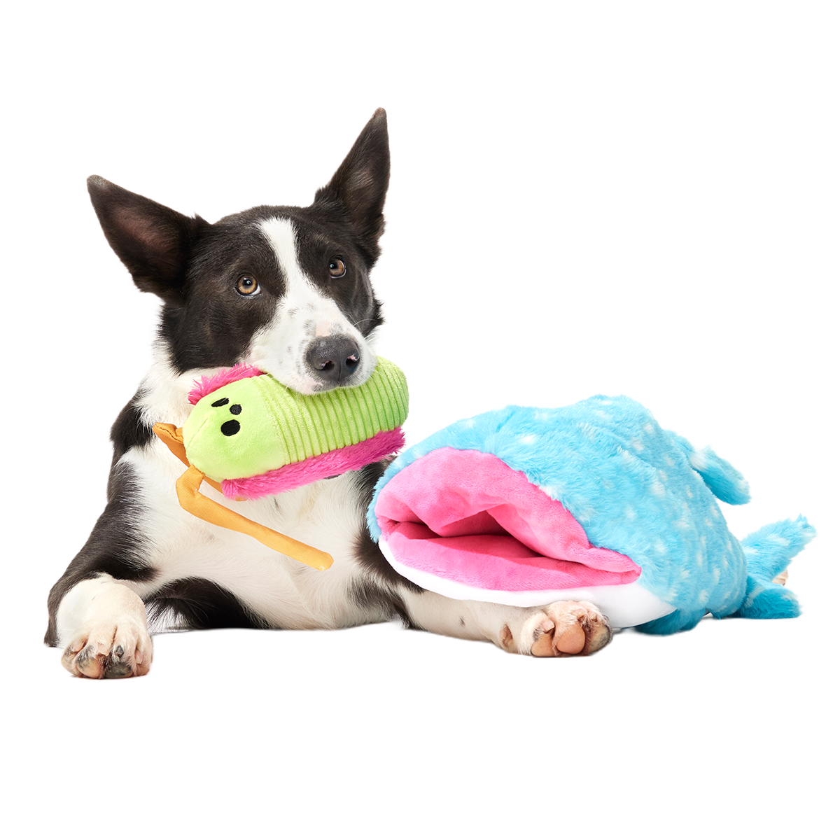 Big Mark The Whale Shark Plush Multi-Part + Extra Large Dog Toy