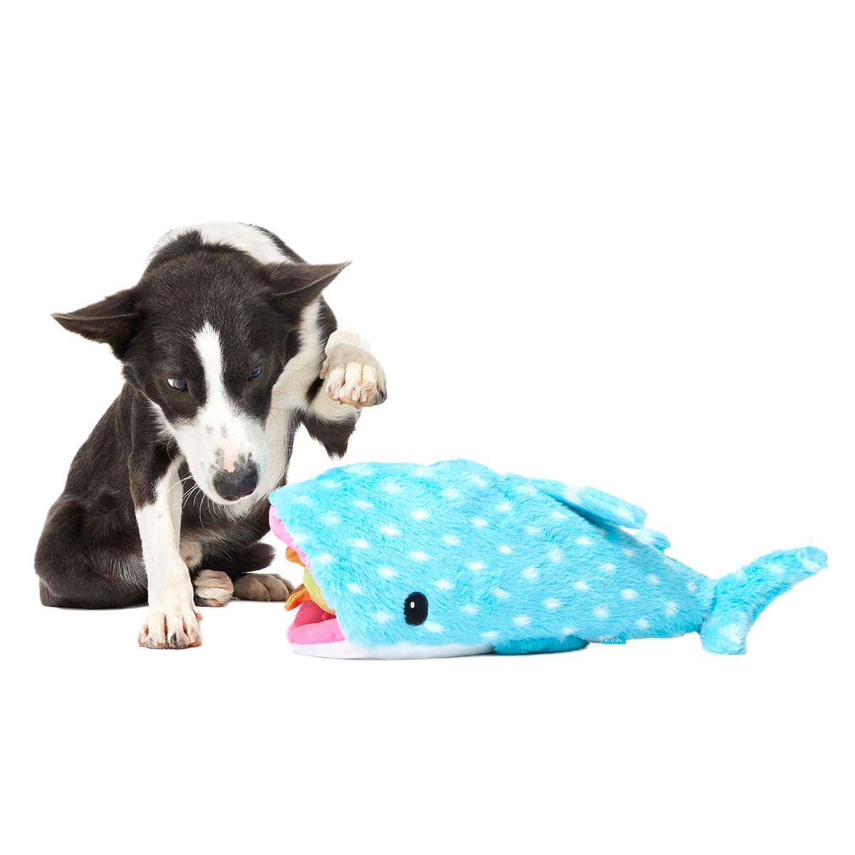Big Mark The Whale Shark Plush Multi-Part + Extra Large Dog Toy